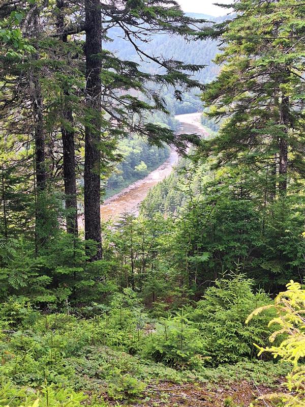 Fundy Trail Provincial Park